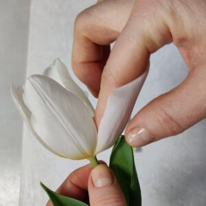 photo_5364214909631142189_y