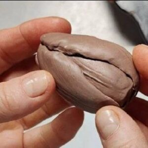 photo_5364214909631142190_m