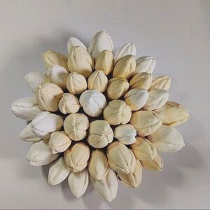 photo_5366466709444825963_x