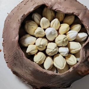 photo_5366466709444825982_x