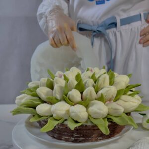 photo_5366466709444826015_y