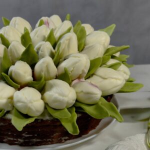 photo_5366466709444826016_y